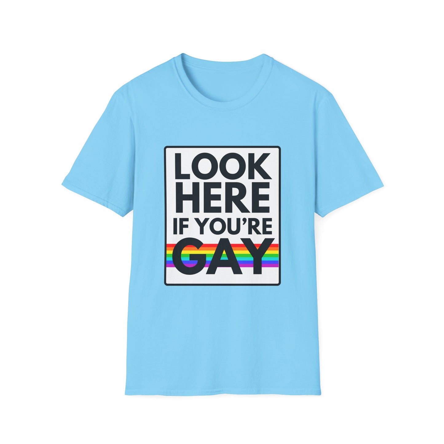 'CAUSE YOU'RE GAY T-Shirt