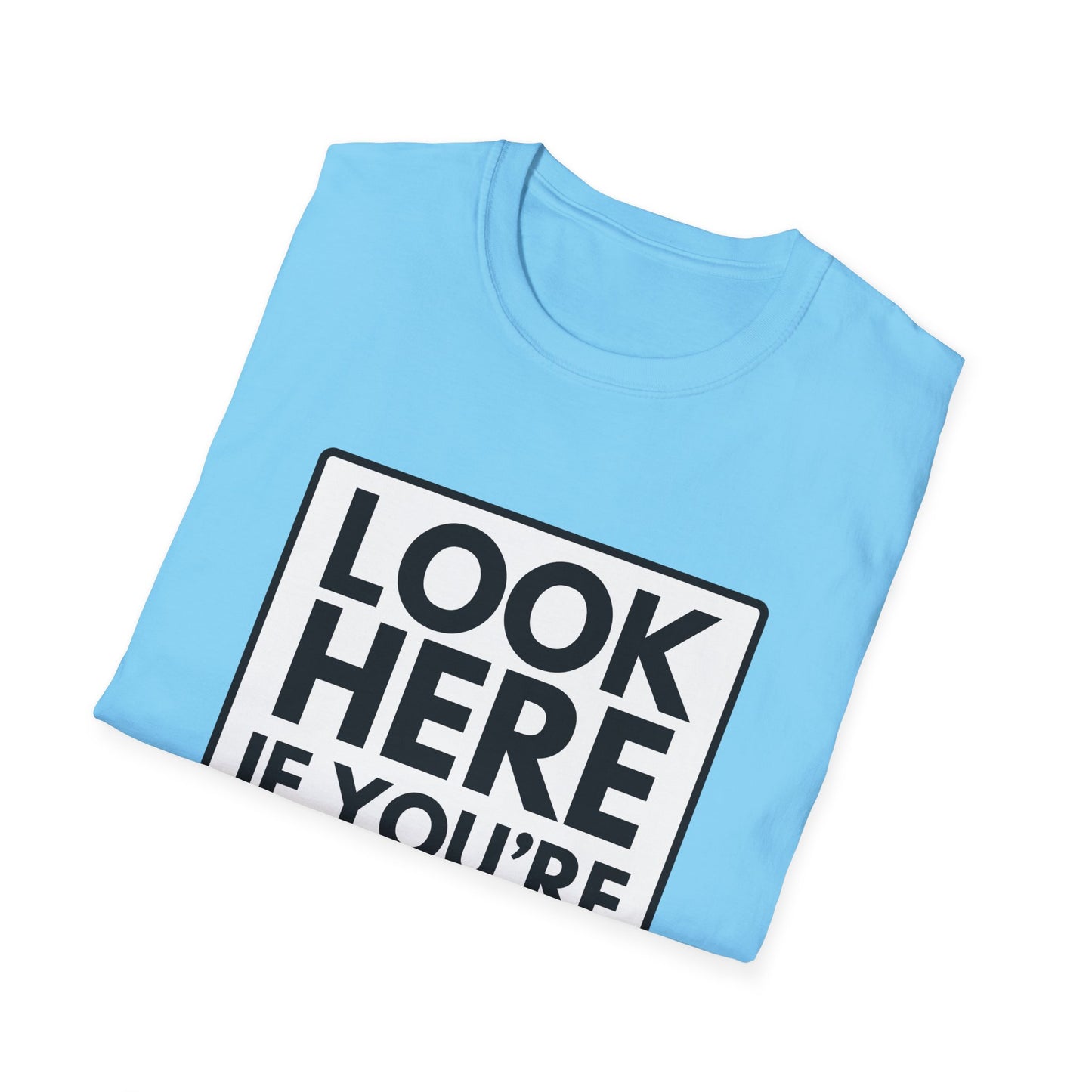 'CAUSE YOU'RE GAY T-Shirt