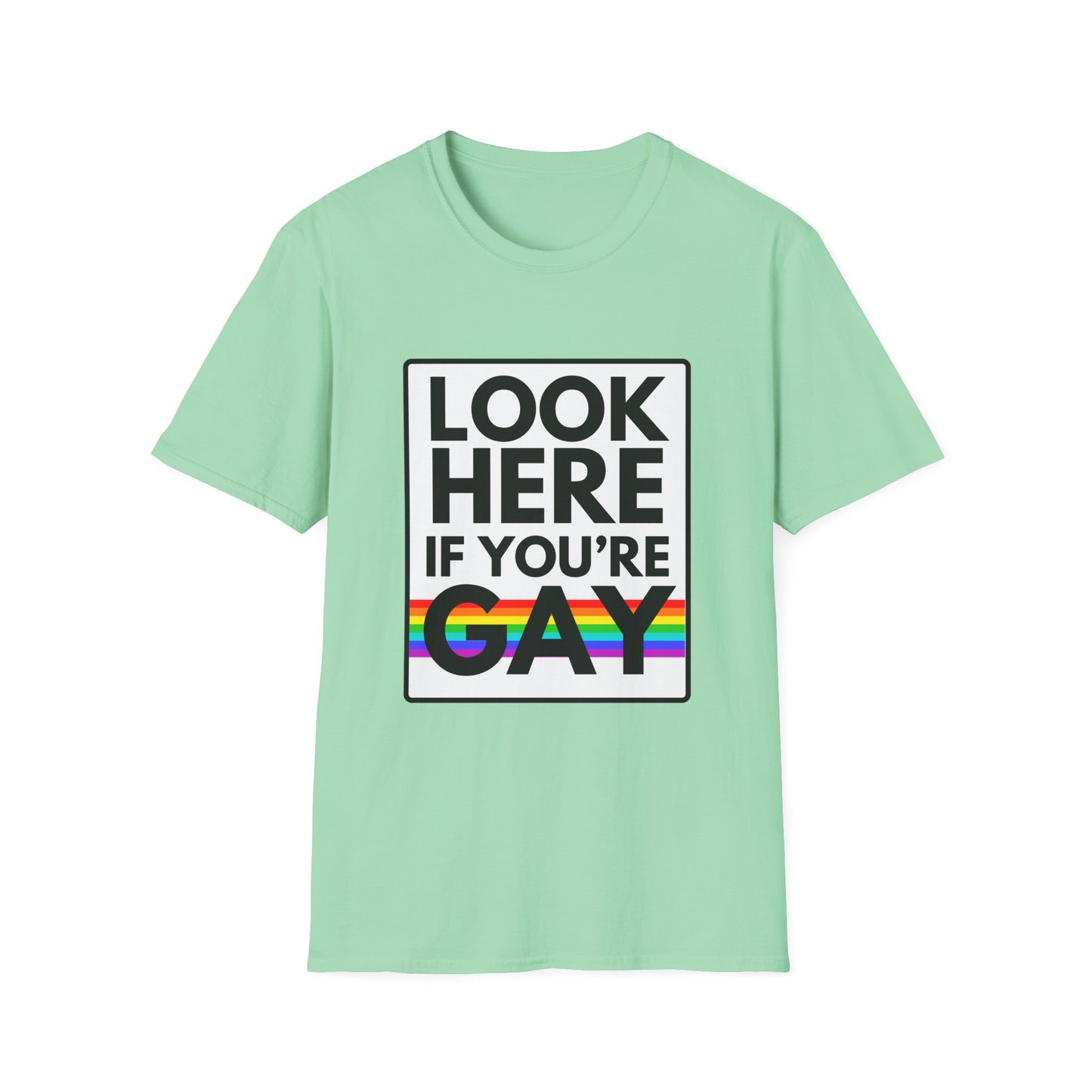 'CAUSE YOU'RE GAY T-Shirt
