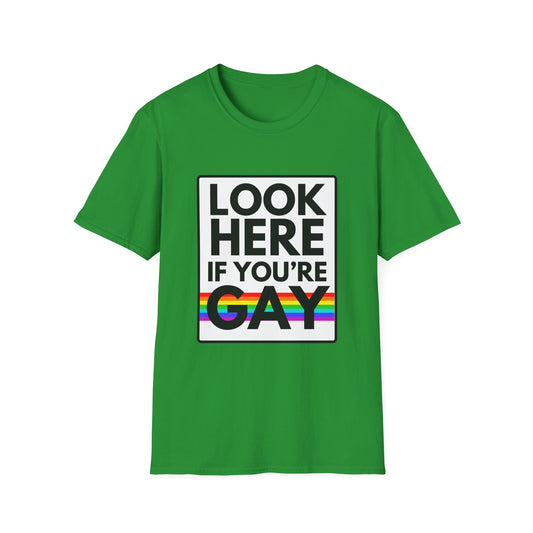 'CAUSE YOU'RE GAY T-Shirt