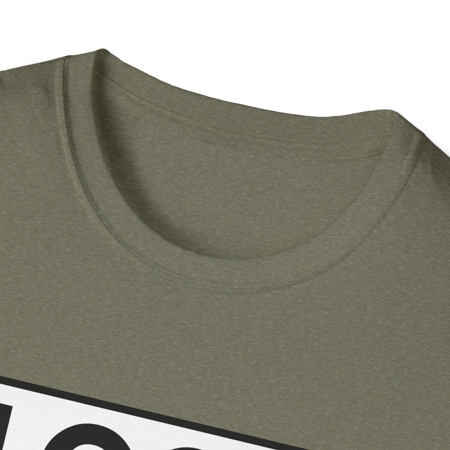 'CAUSE YOU'RE GAY T-Shirt