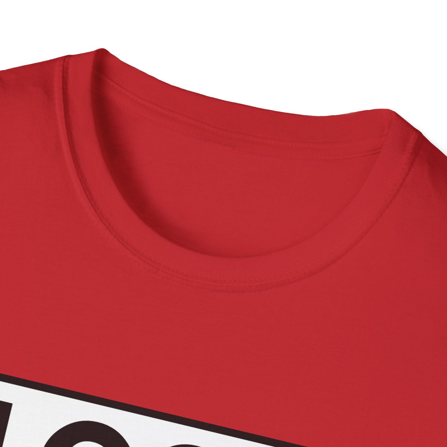 'CAUSE YOU'RE GAY T-Shirt