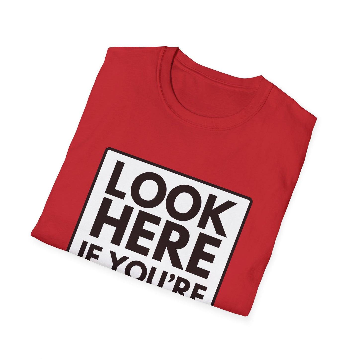 'CAUSE YOU'RE GAY T-Shirt