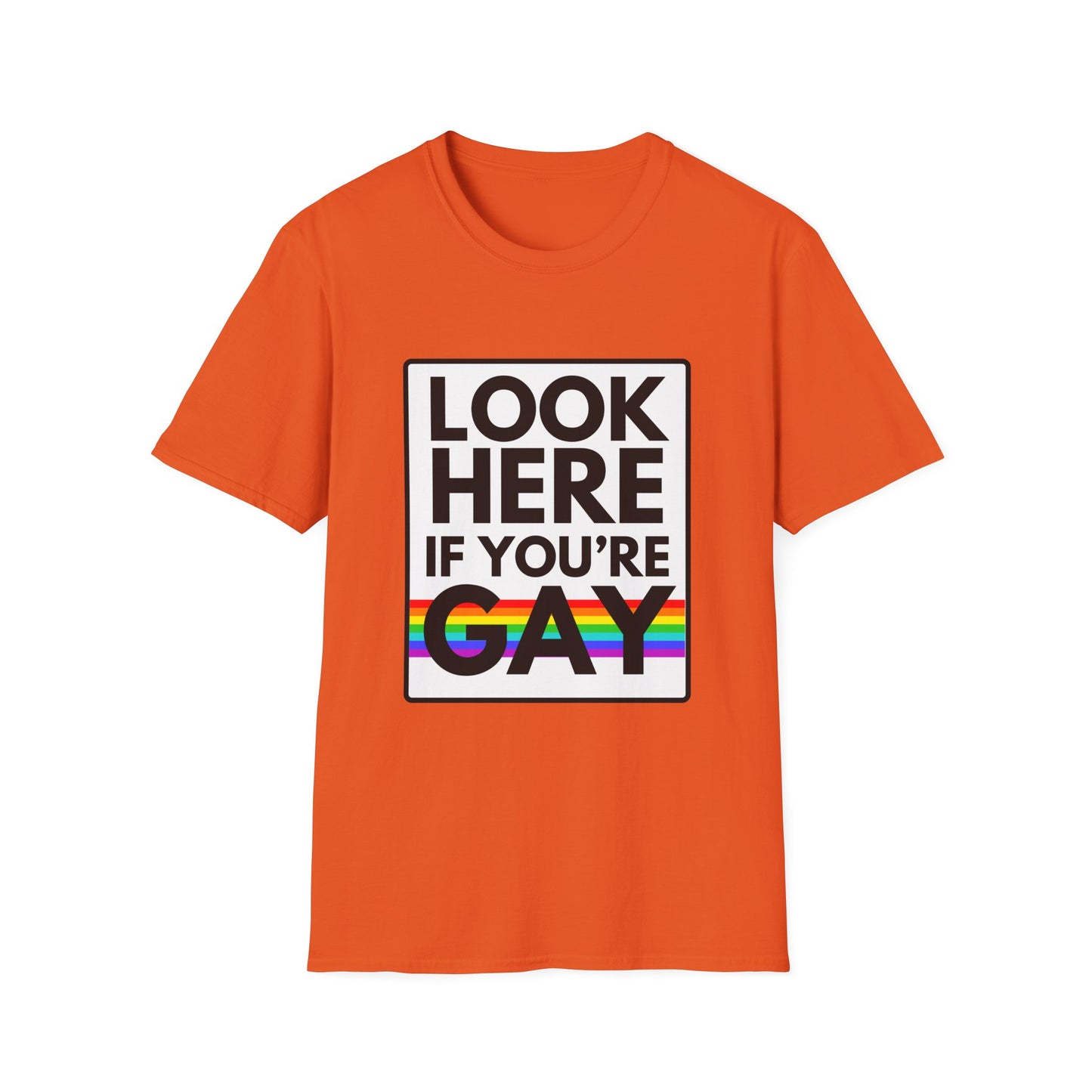 'CAUSE YOU'RE GAY T-Shirt