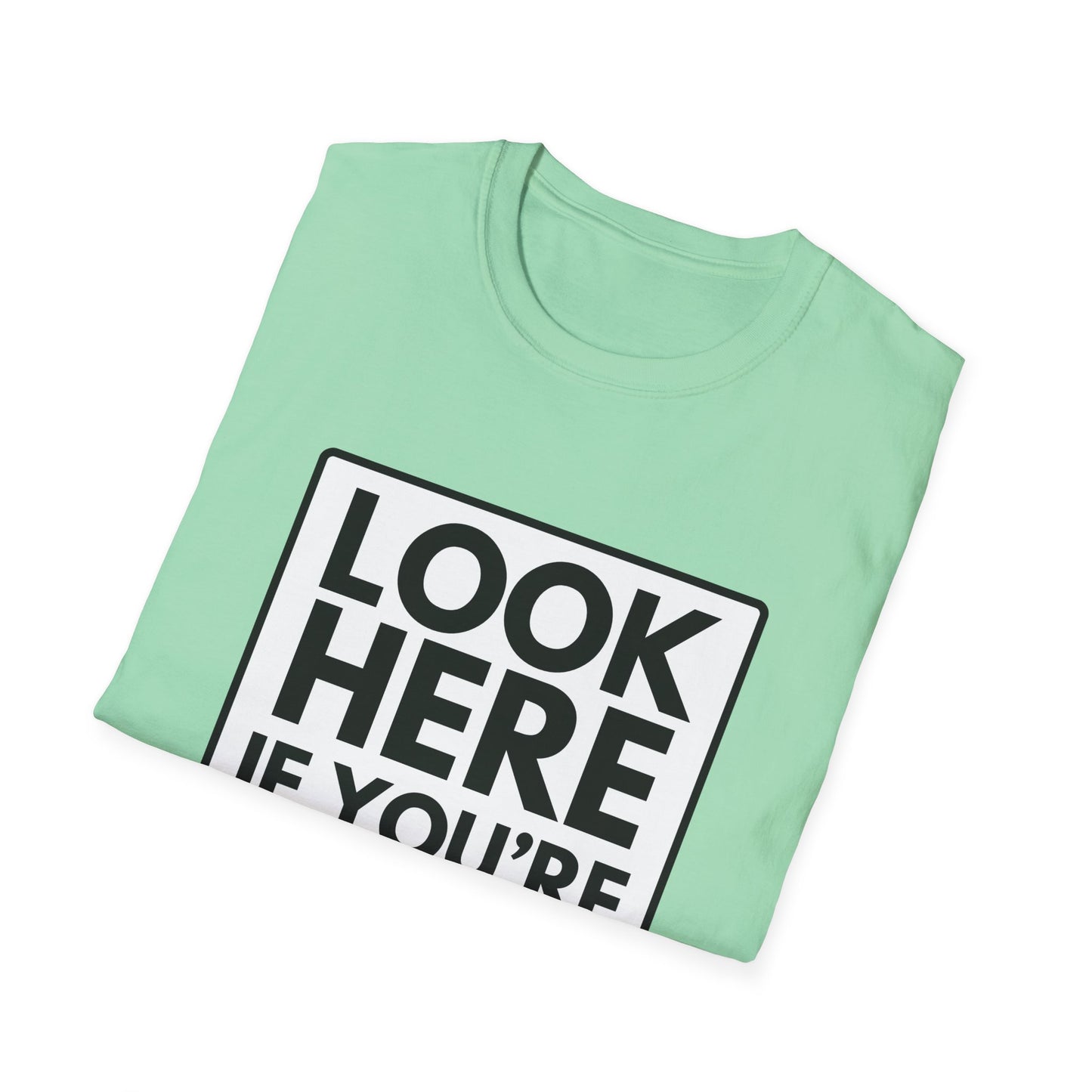 'CAUSE YOU'RE GAY T-Shirt