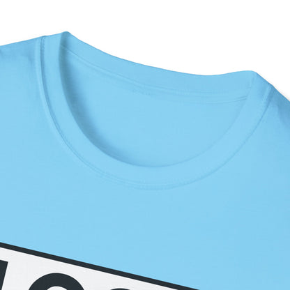 'CAUSE YOU'RE GAY T-Shirt
