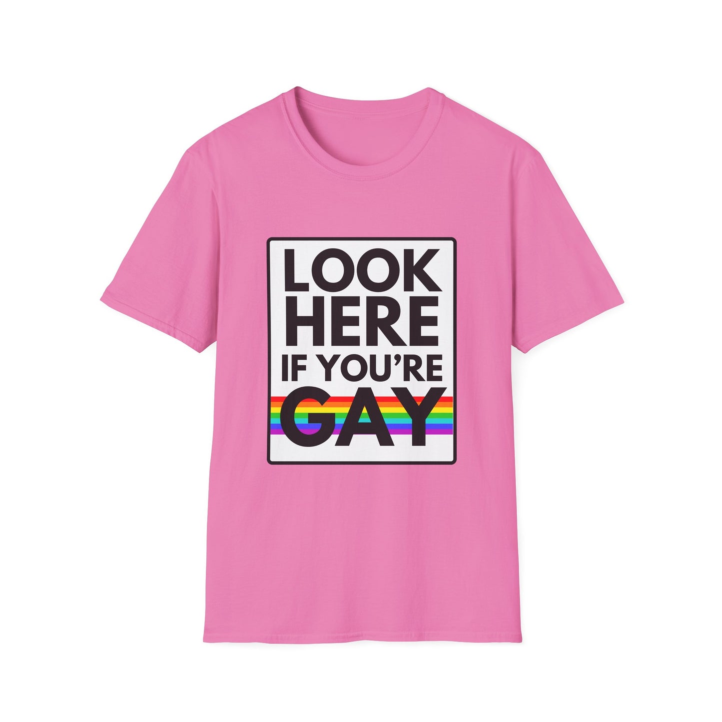 'CAUSE YOU'RE GAY T-Shirt