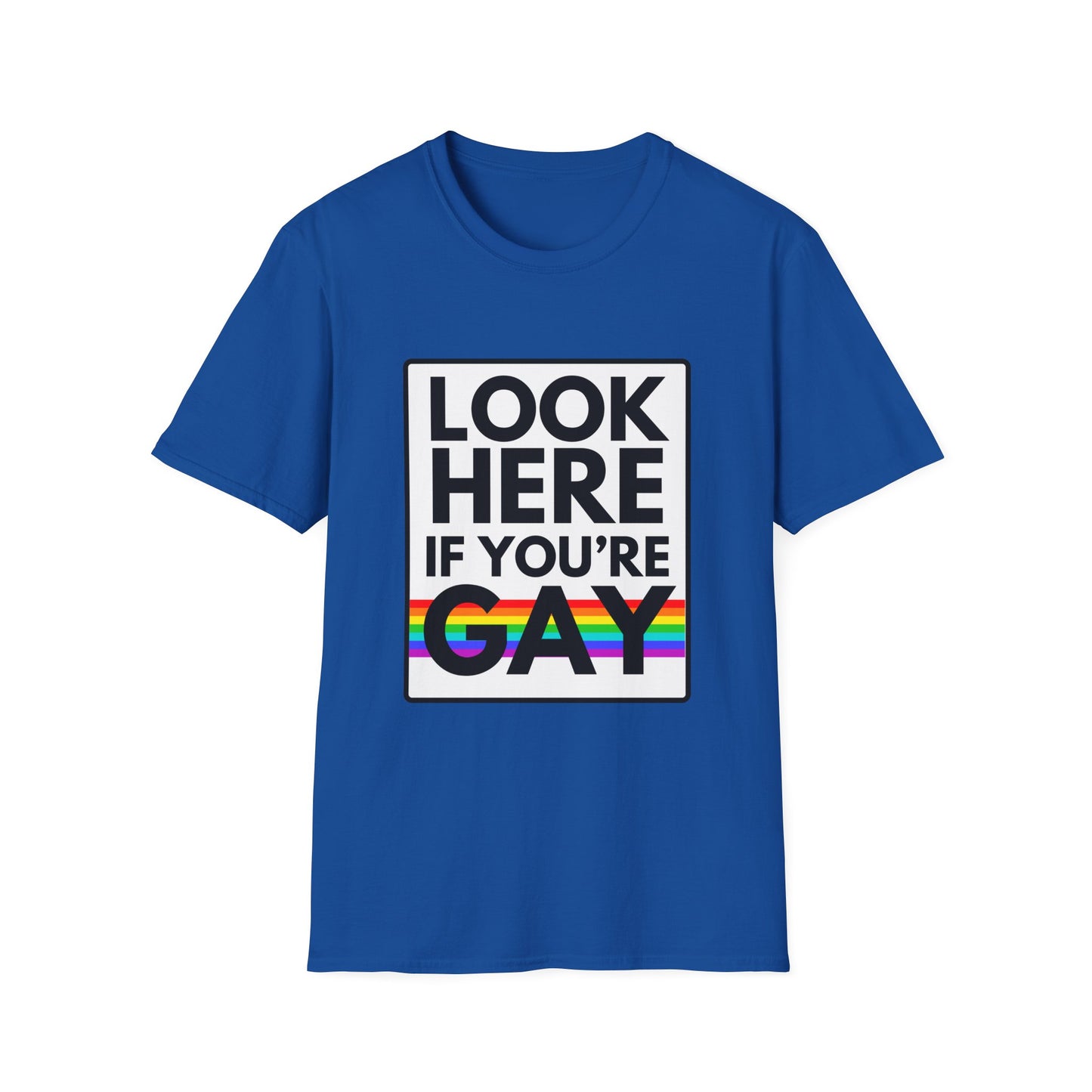 'CAUSE YOU'RE GAY T-Shirt