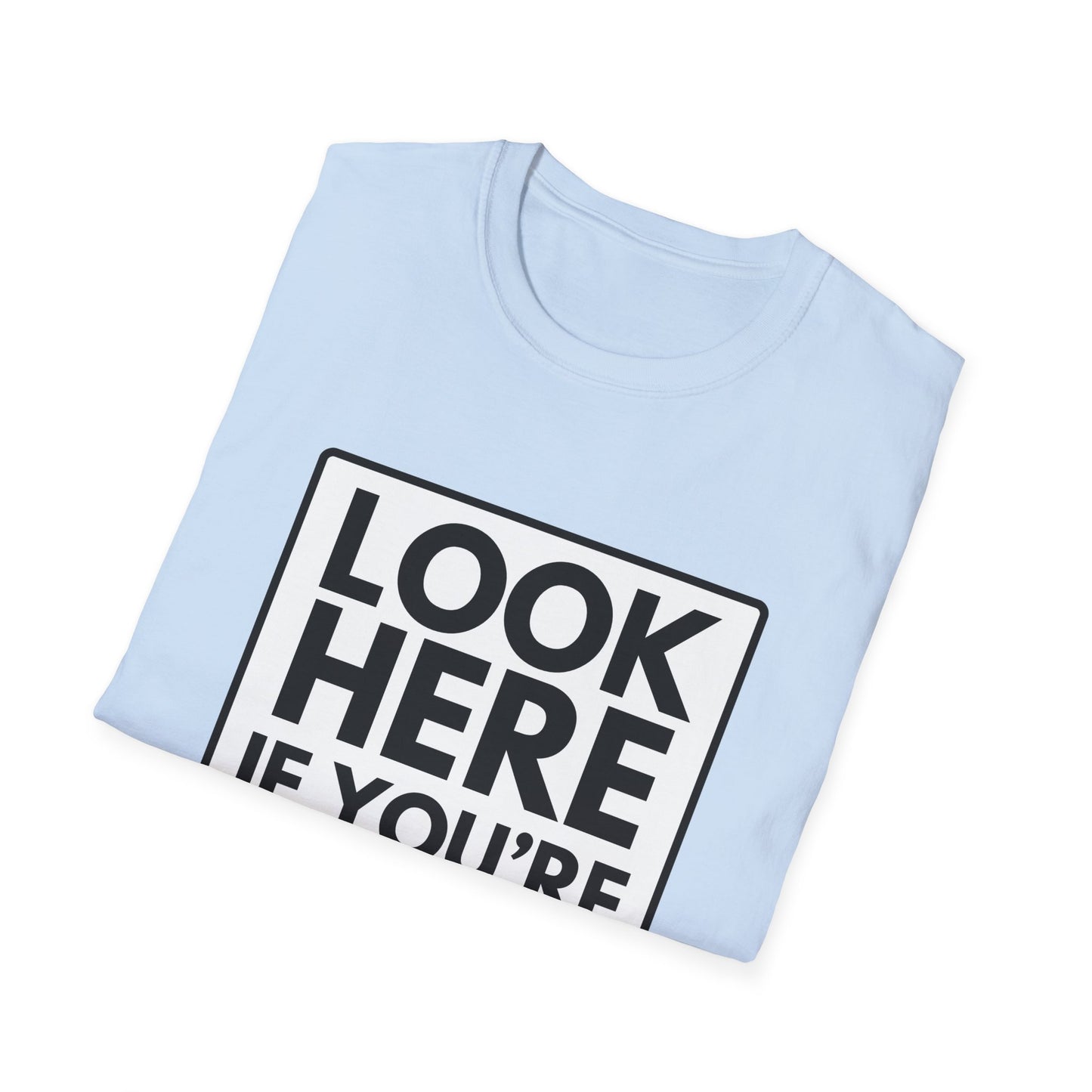 'CAUSE YOU'RE GAY T-Shirt