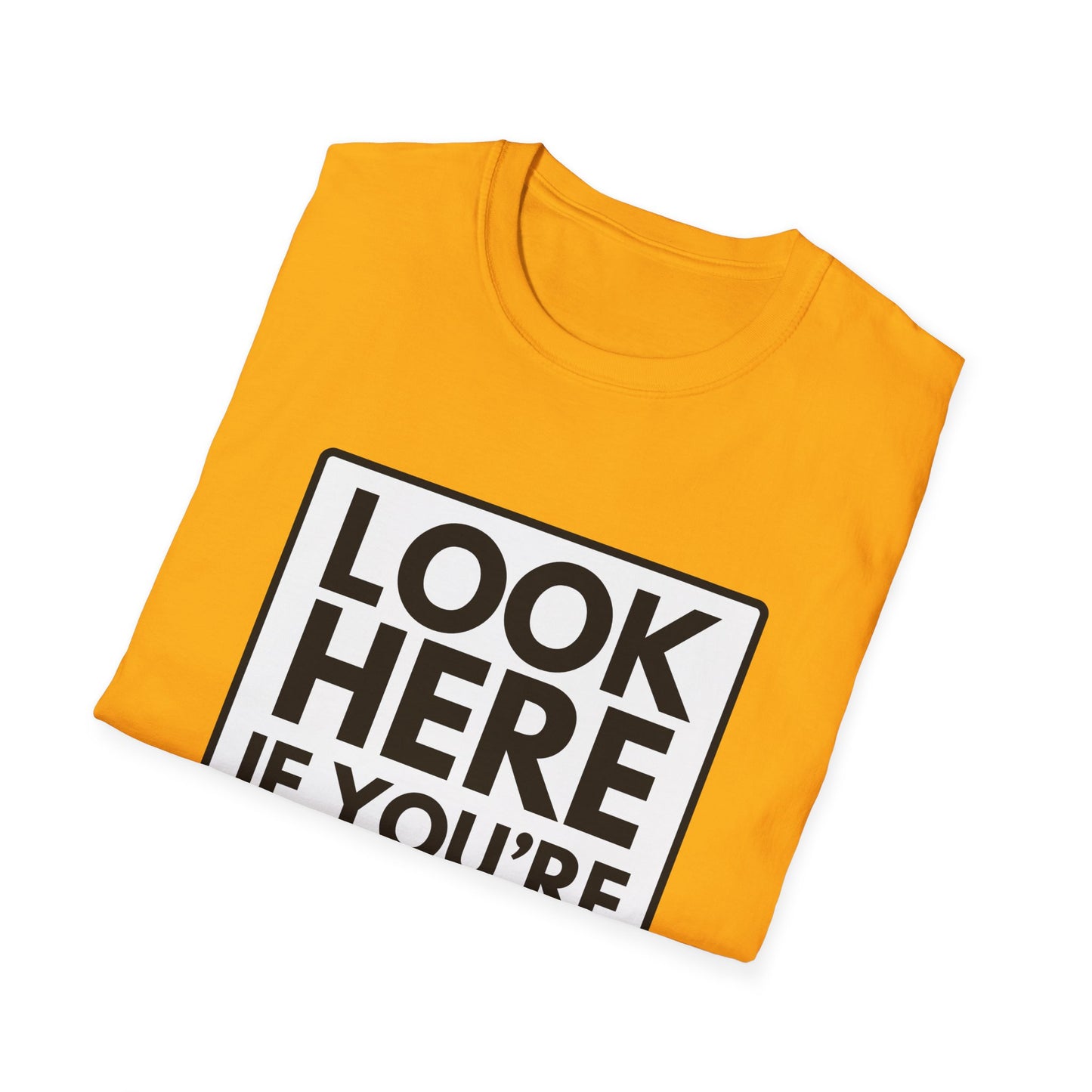 'CAUSE YOU'RE GAY T-Shirt