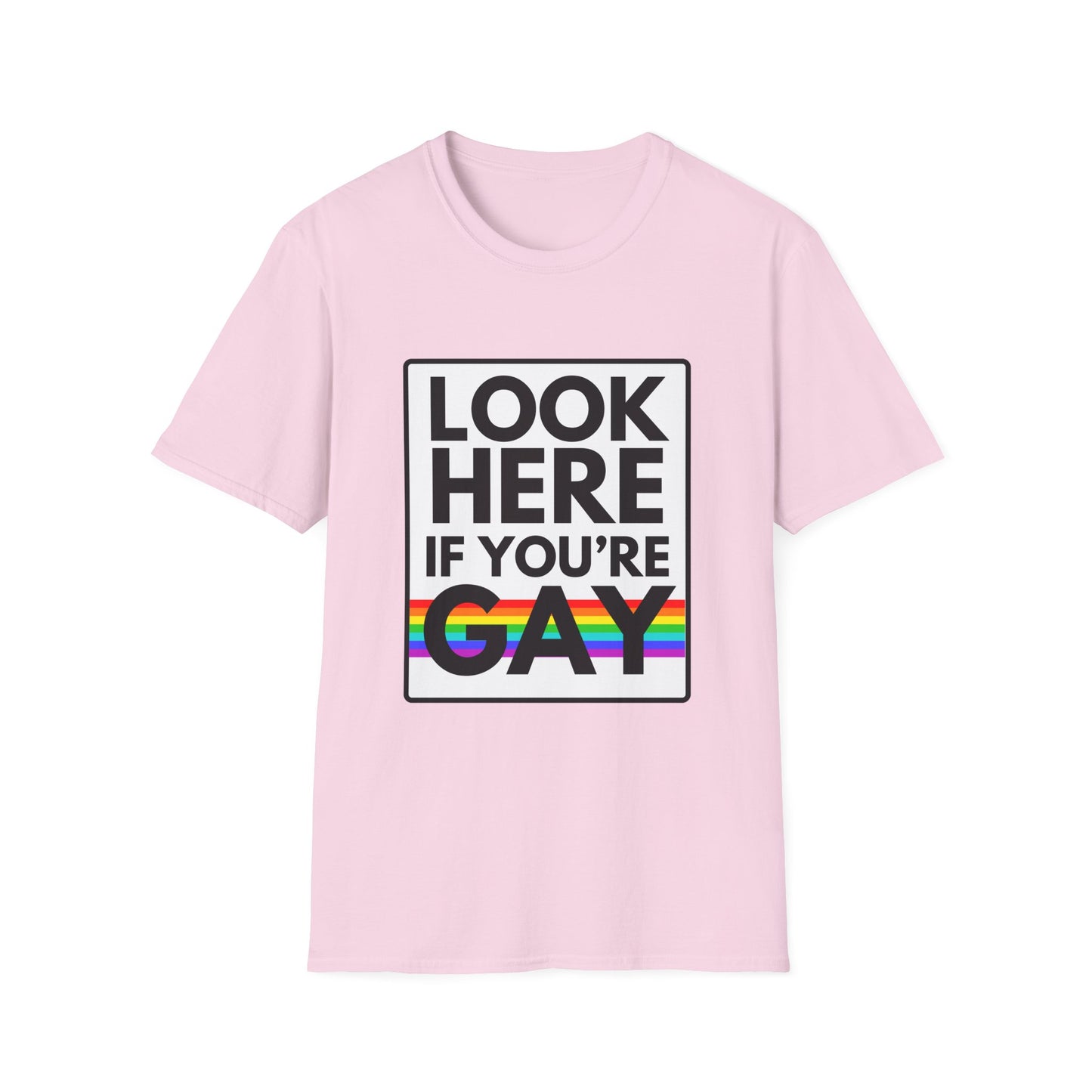 'CAUSE YOU'RE GAY T-Shirt