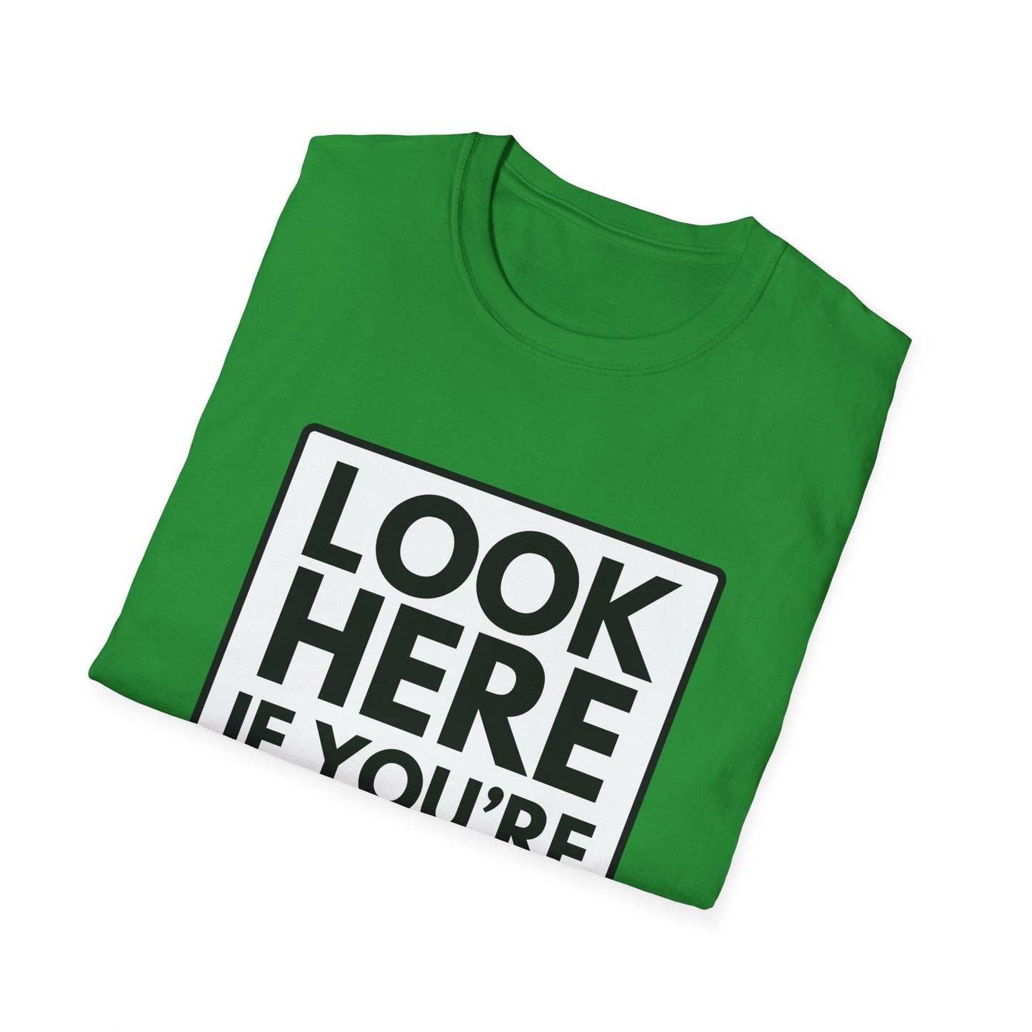 'CAUSE YOU'RE GAY T-Shirt