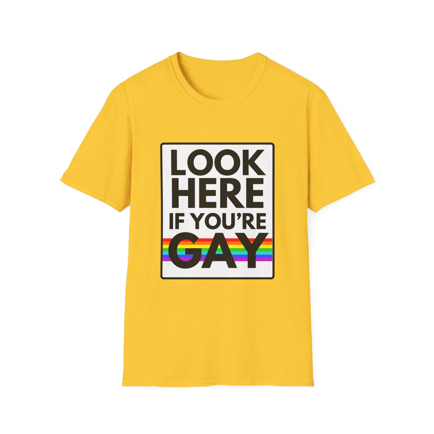 'CAUSE YOU'RE GAY T-Shirt